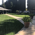 Hernandez Lawn Maintenance