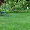 Lawn Doctor gallery