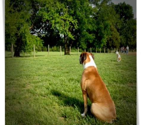 Dog Bark Park - Murfreesboro, TN