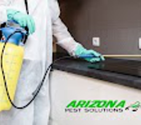 Arizona Termite & Pest Solutions - Gilbert, AZ