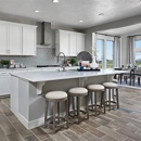 Dapple Gray Trails By Richmond - Home Builders