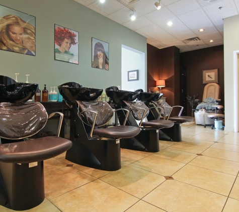 Beaux Cheveux Salon Spa - Naperville, IL