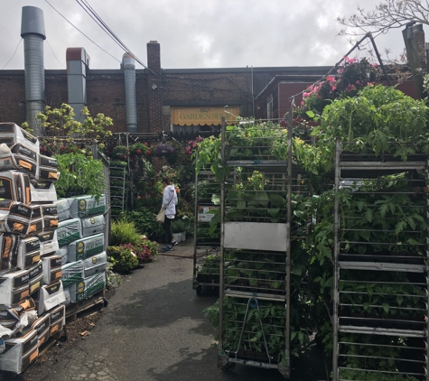 Ricky's Flower Market - Somerville, MA