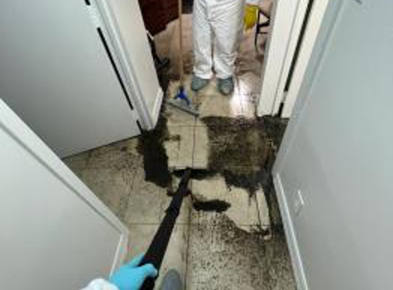 Green Guard Mold Remediation Of Union - Union, NJ