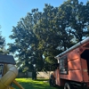 MAN of STIHL LLC gallery