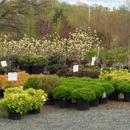 Truesdale Nursery & Landscape Services - Landscape Contractors