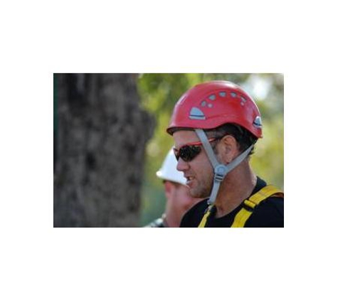 CPD Tree Services - Helena Valley, WA