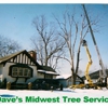 Dave's Midwest Tree Service