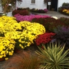 Goudreault Farm Greenhouse gallery