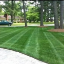Weed Free Lawns - Lawn Maintenance