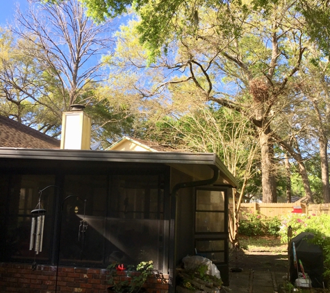 Shaw's Tree Service - Jacksonville, FL. Backyard