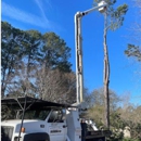 Down East Tree Service II - Tree Service