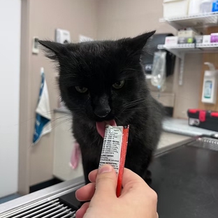 Rutherglen Veterinary Clinic - Rutherglen, VIC