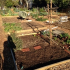 Zaferia Junction Community Garden