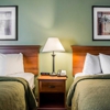 Quality Inn & Suites Tampa near Fairgrounds and Casino gallery