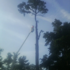 Al Watson Tree Svc