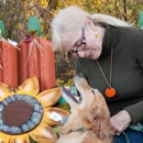 Paradise Pet Suites - Pet Boarding & Kennels