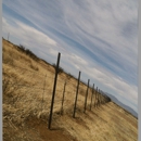 Saguaro Fencing and Land Services - Fence-Sales, Service & Contractors