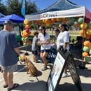 CityVet | Murphy - Pet Services