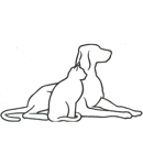 Camarosa Veterinary Clinic - Dog Day Care