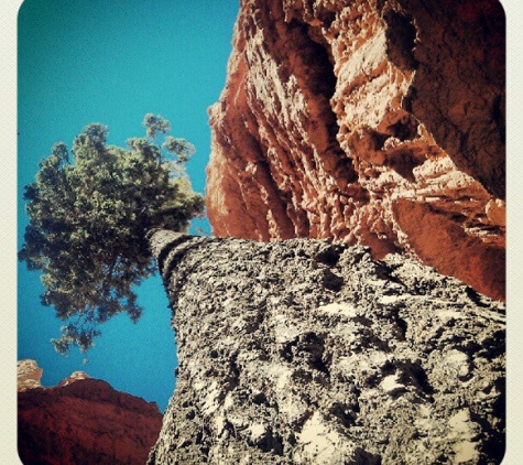 Bryce Canyon National Park - Bryce, UT