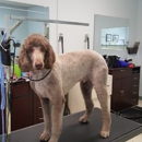 Adriennes Pet Salon - Pet Grooming