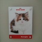 Royal Canin