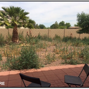 Desert Rose Management - Peoria, AZ