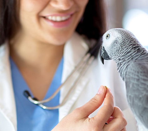 Canley Heights Veterinary Clinic - Canley Heights, NSW