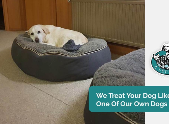 A Pet's Life - Toolijooa, NSW. We Treat Your Dog Like One Of Our Own Dogs