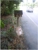 First Express Couriers Sunshine Coast - Courier Services