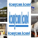 Downtown Hound! - Pet Sitting & Exercising Services