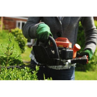 Wayne's Garden & Lawn Mowing Maintenance - Mermaid Waters, QLD
