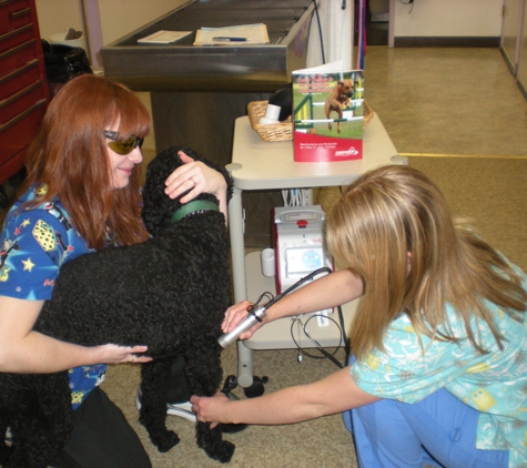 Companion Animal Hospital - Santa Cruz, CA