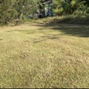 Moore & More Services - Tree Service