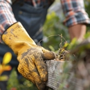 MV Tree Services - Tree Service