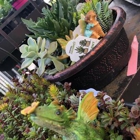 Western Garden Center