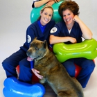 Canine Rehabilitation and Arthritis Center