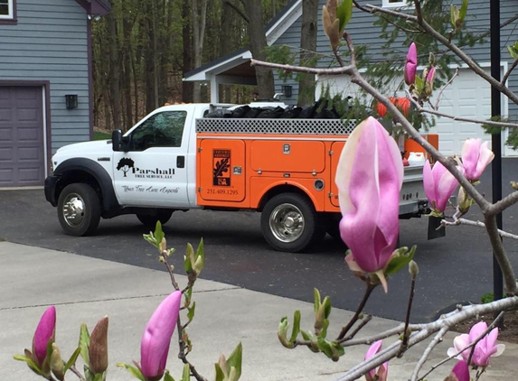 Parshall Tree Service LLC - Traverse City, MI