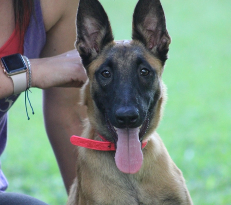 Southernwind kennels - Brooksville, FL