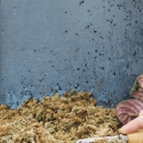 Eco Pest Control - Pest Control Equipment & Supplies