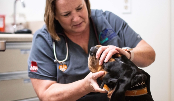 TotalBond Veterinary Hospital at Bethel - Lake Wylie, SC