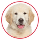 PetWellClinic Fort Myers - Pet Services