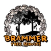 Brammer Tree Service and Stump Removal gallery