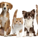 Newkirk Family Veterinarians - Veterinarians