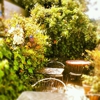 Firefly Coffee House gallery