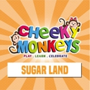 Cheeky Monkeys - Sugar Land - Amusement Places & Arcades