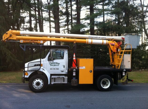 Connecticut Tree Service of Naugatuck, LLC - Naugatuck, CT