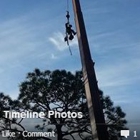 Backridge Tree Service