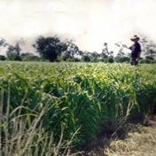 Gallery Image Number 3